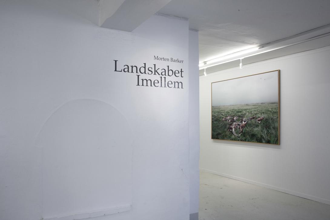 The Landscape In-Between Gallery Image