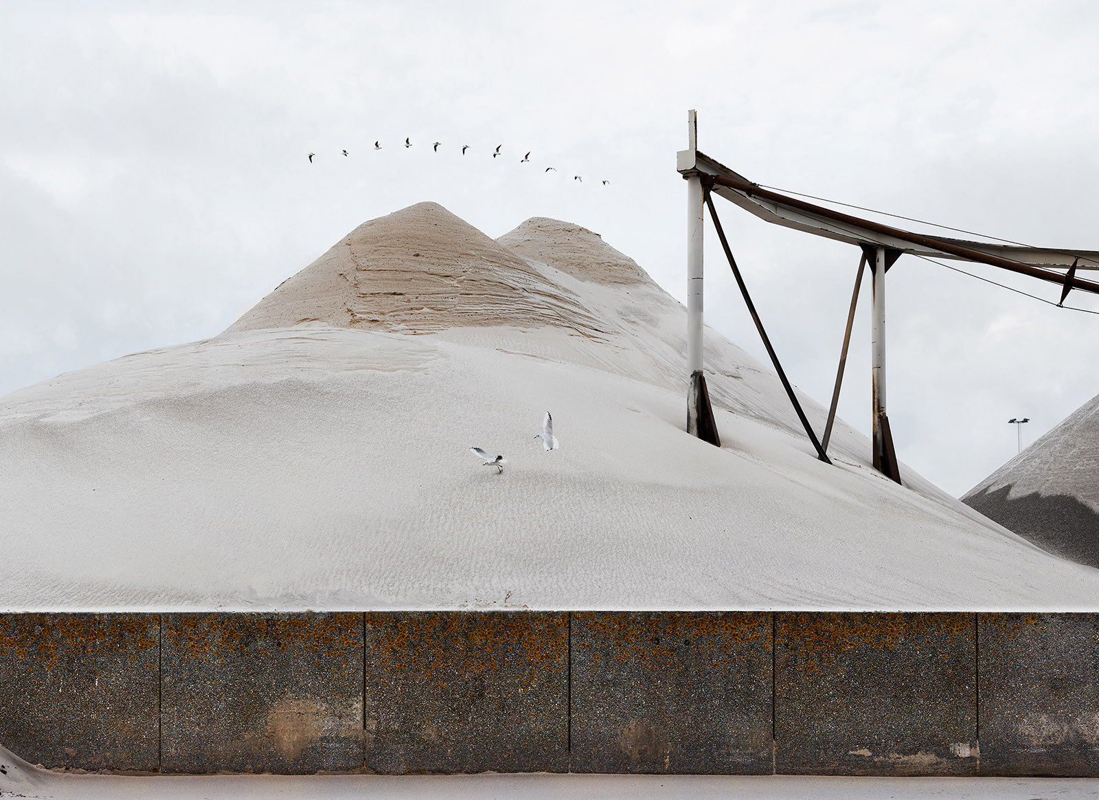 Measuring Spatial Amnesia #2