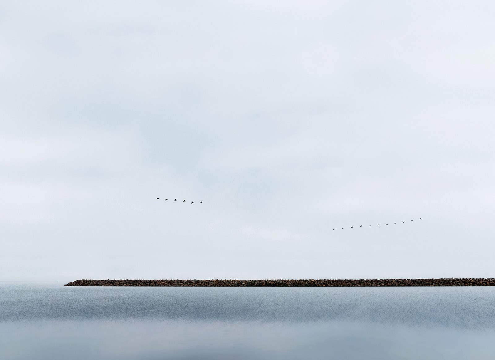 Measuring Spatial Amnesia #3