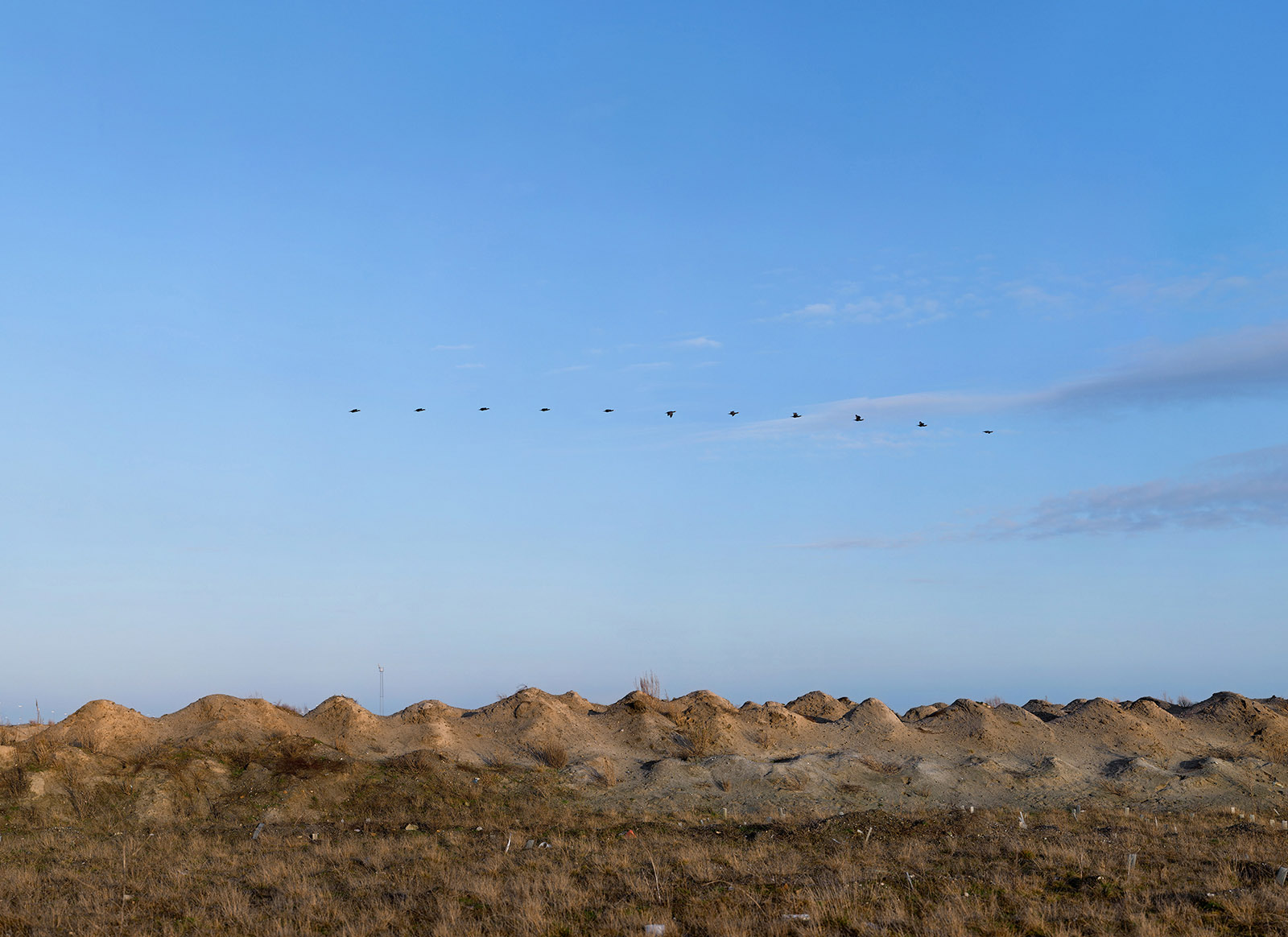 Measuring Spatial Amnesia #4