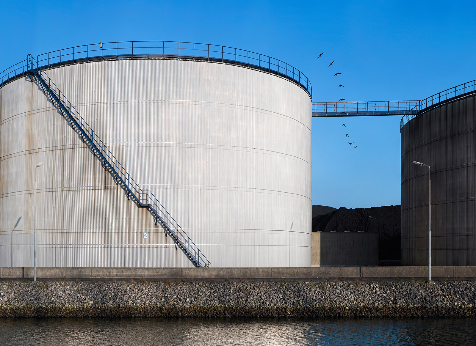 Measuring Spatial Amnesia #5