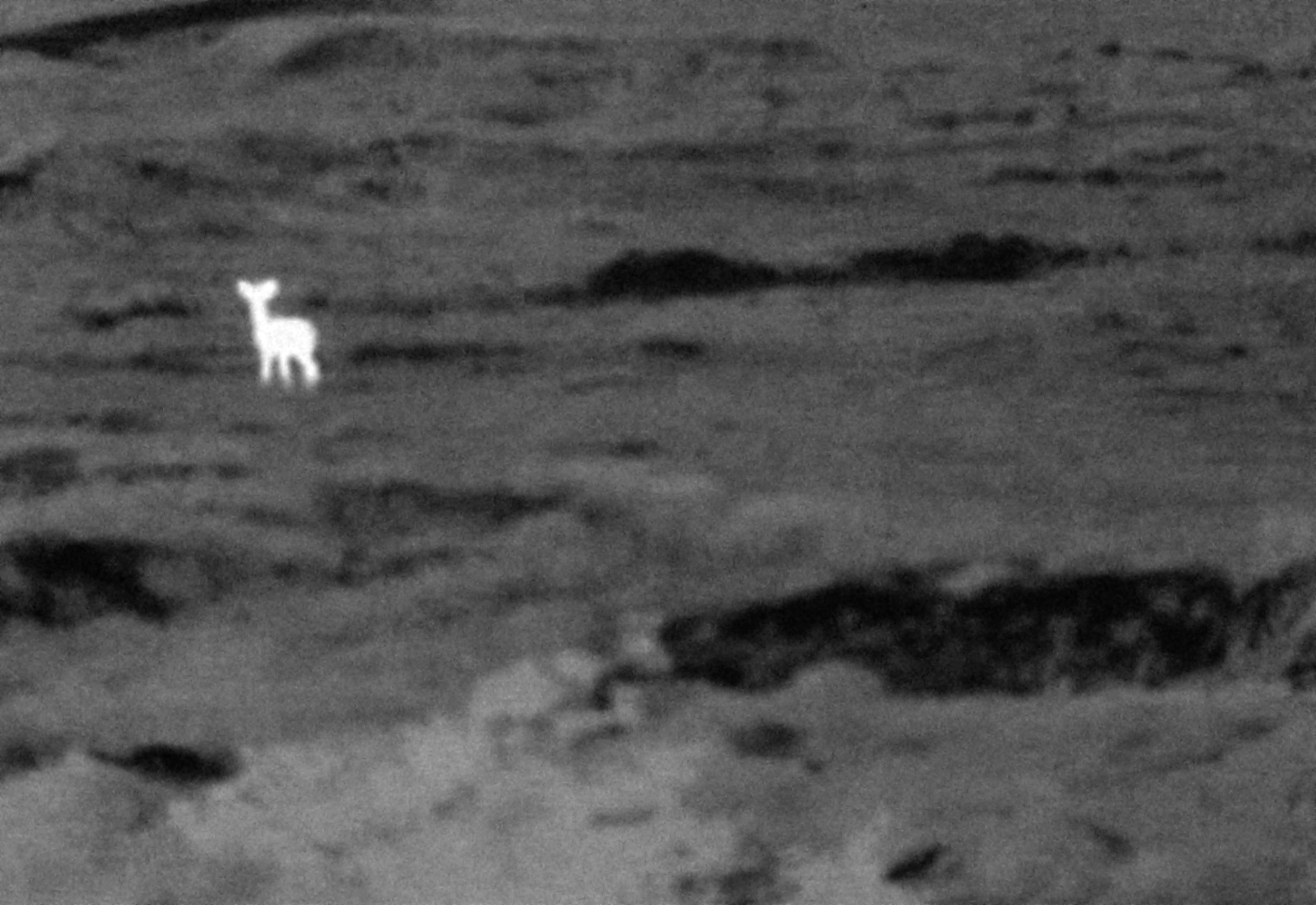 First Image
