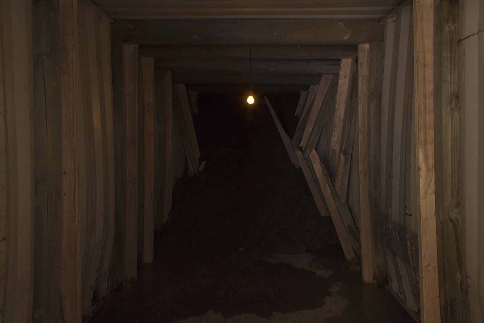Caption for Image 1