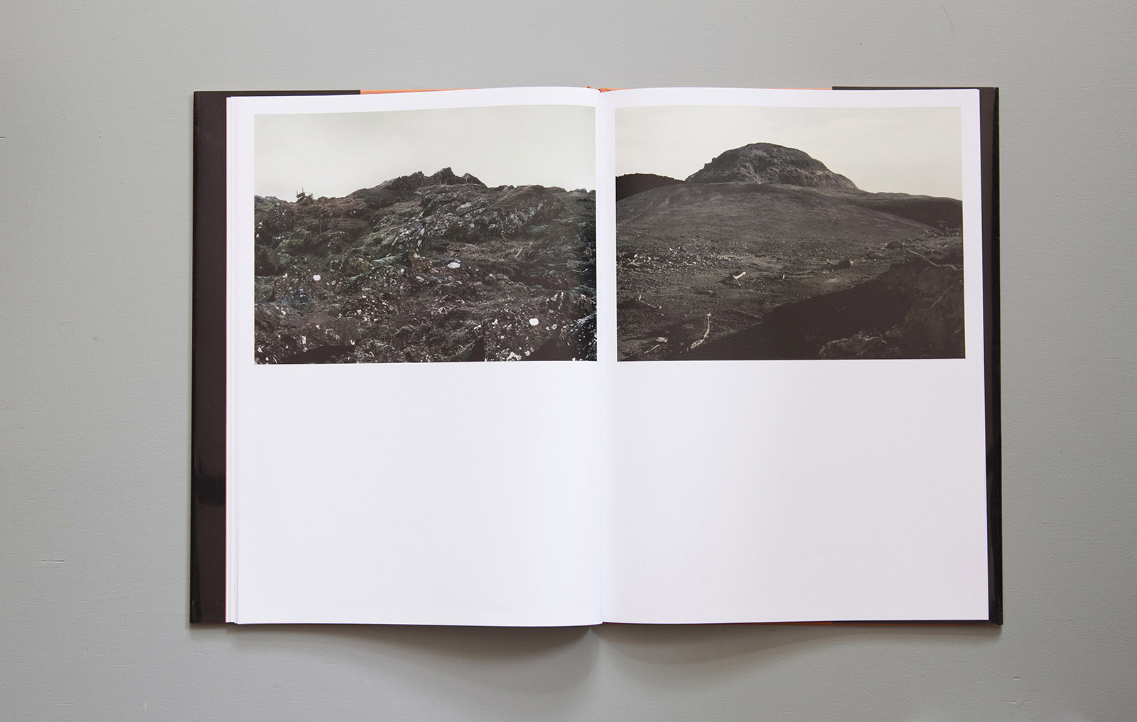 Twelfth Image