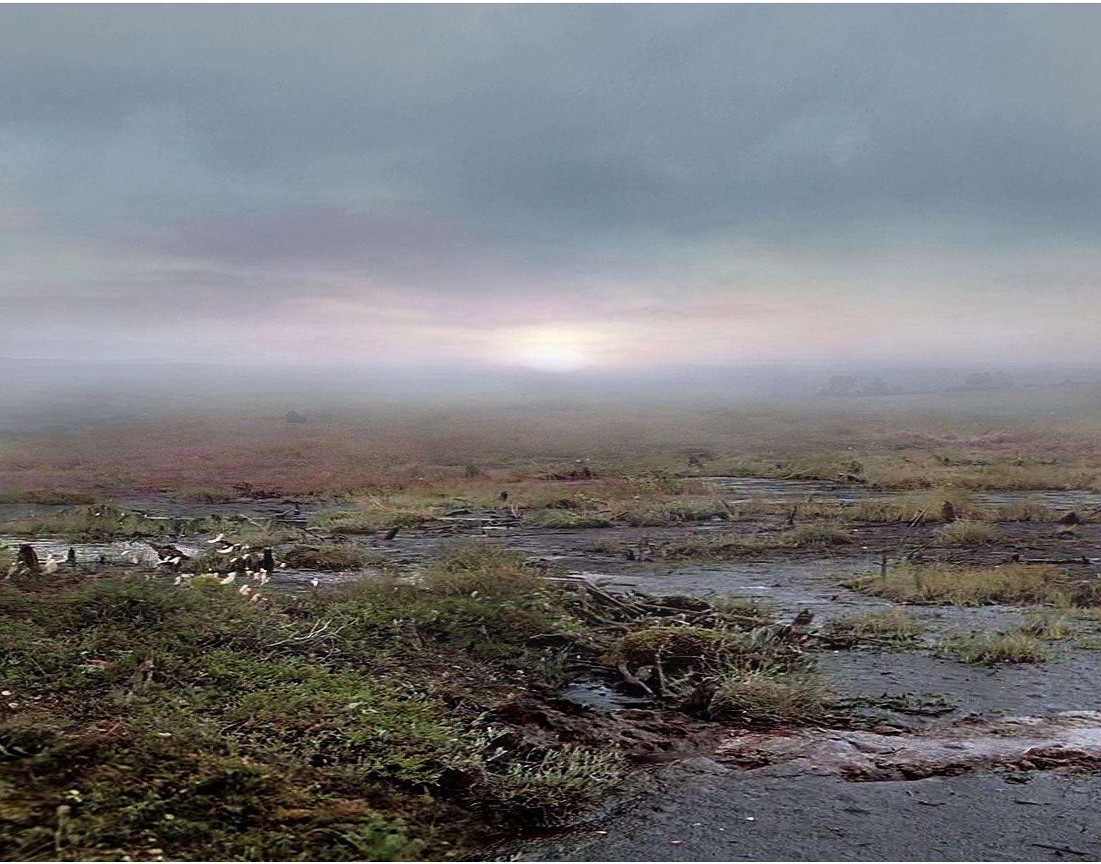 Caption for Image 1