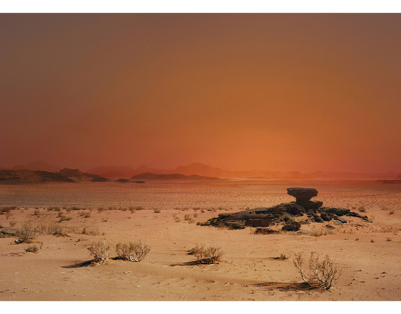 Caption for Image 4