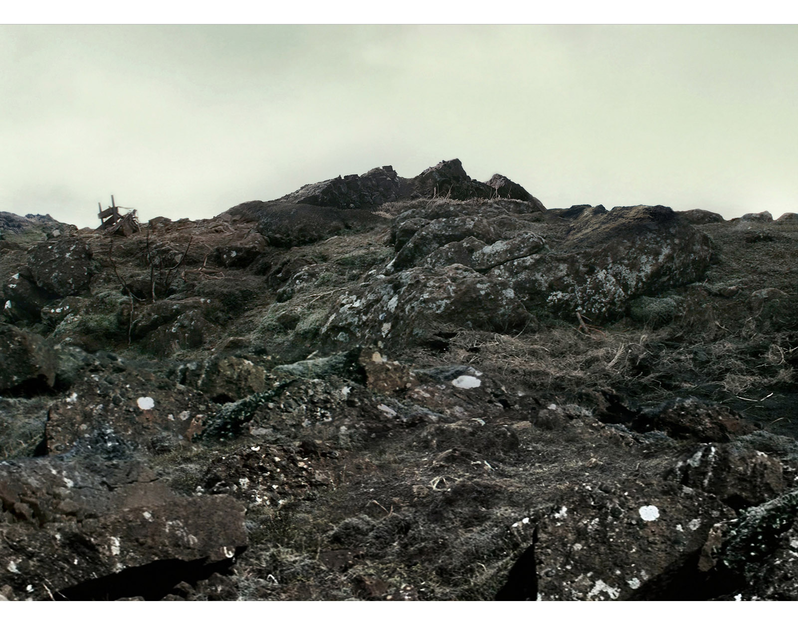 Caption for Image 3