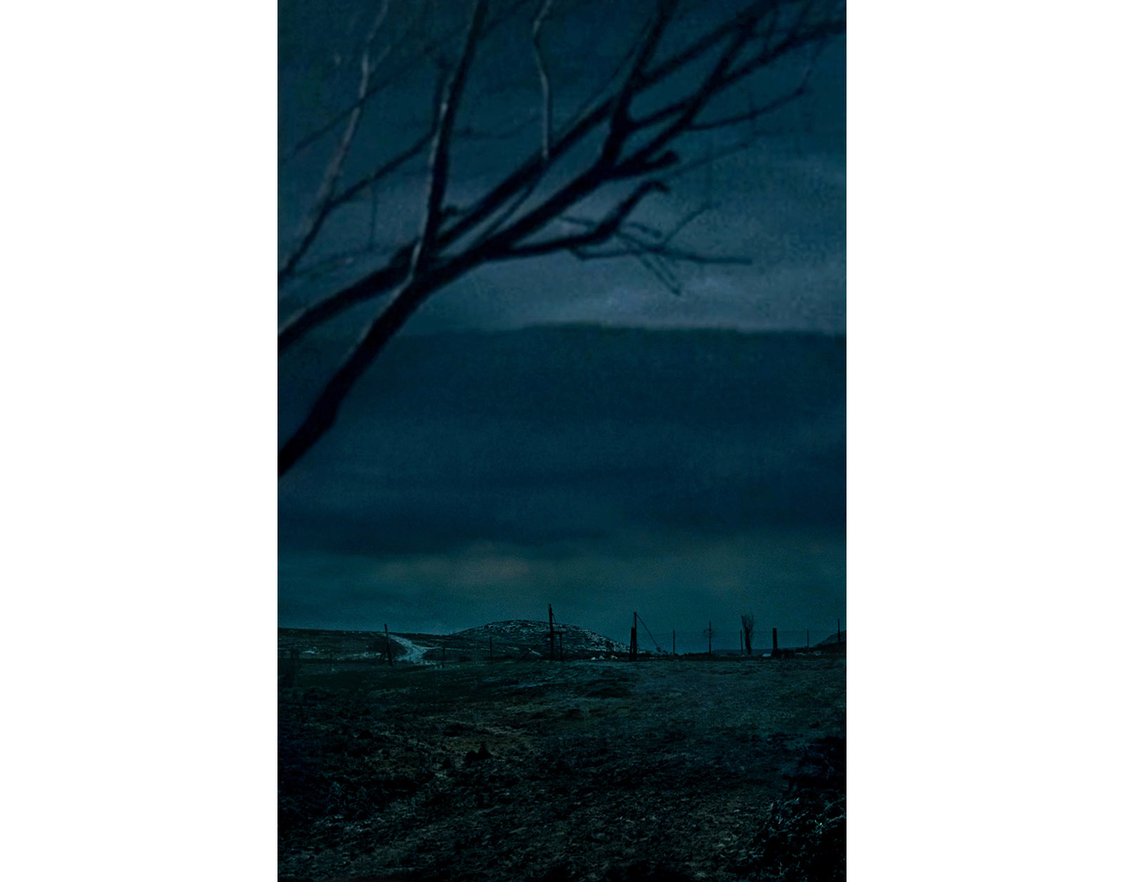 Caption for Image 3
