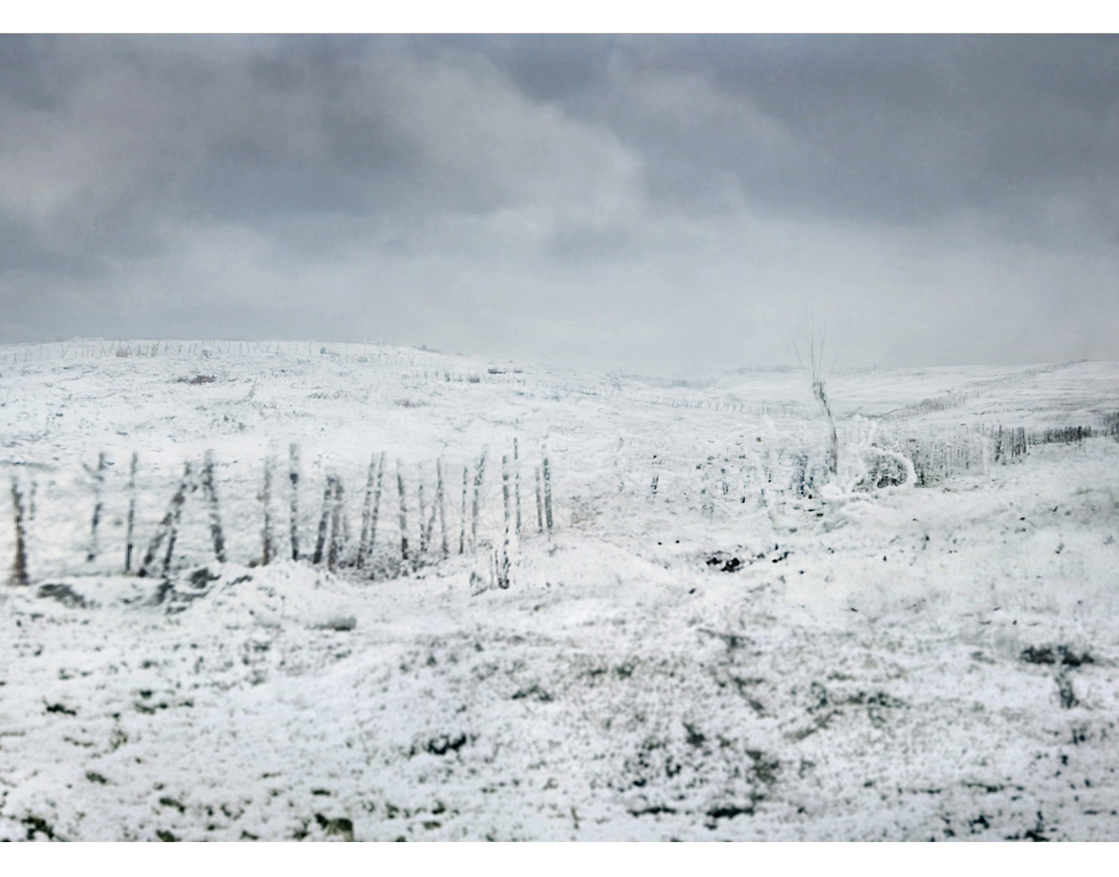 Caption for Image 3