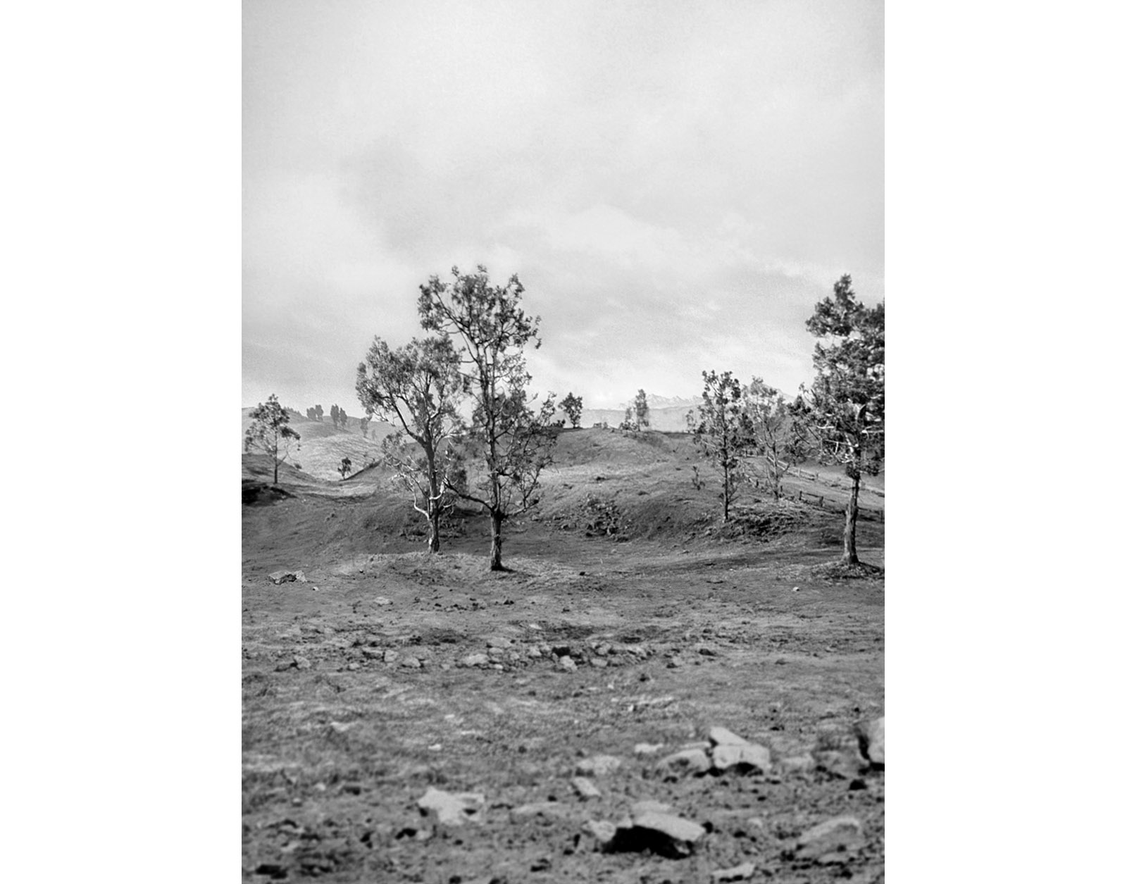 Caption for Image 3
