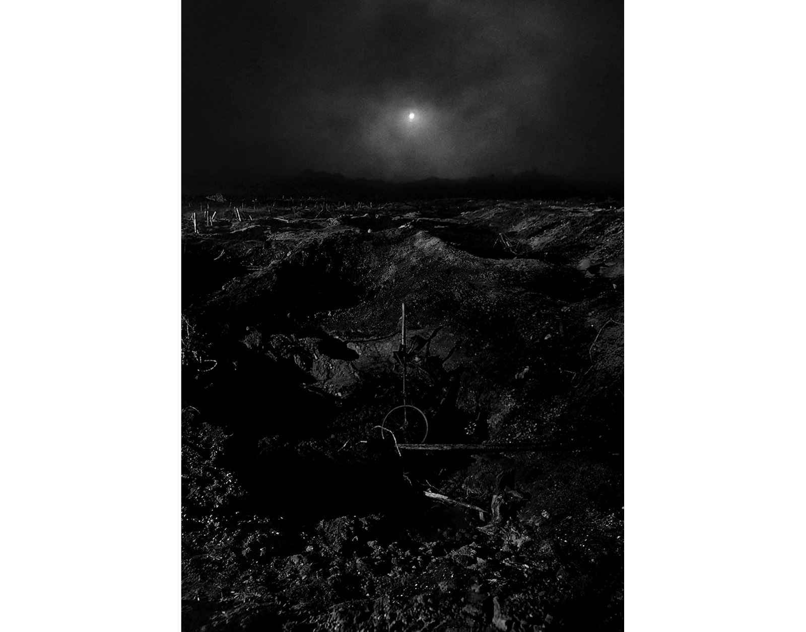Caption for Image 3