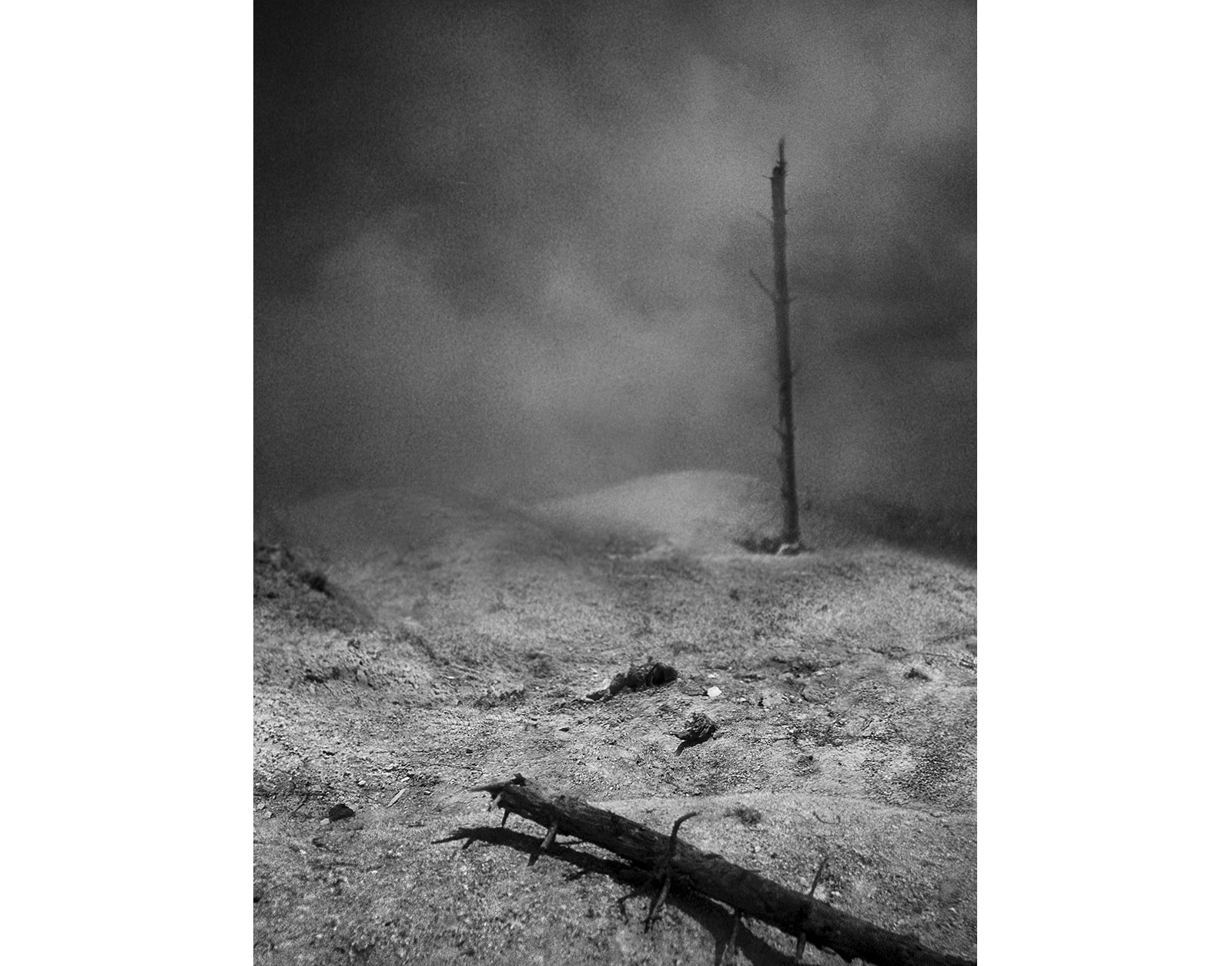 Caption for Image 3