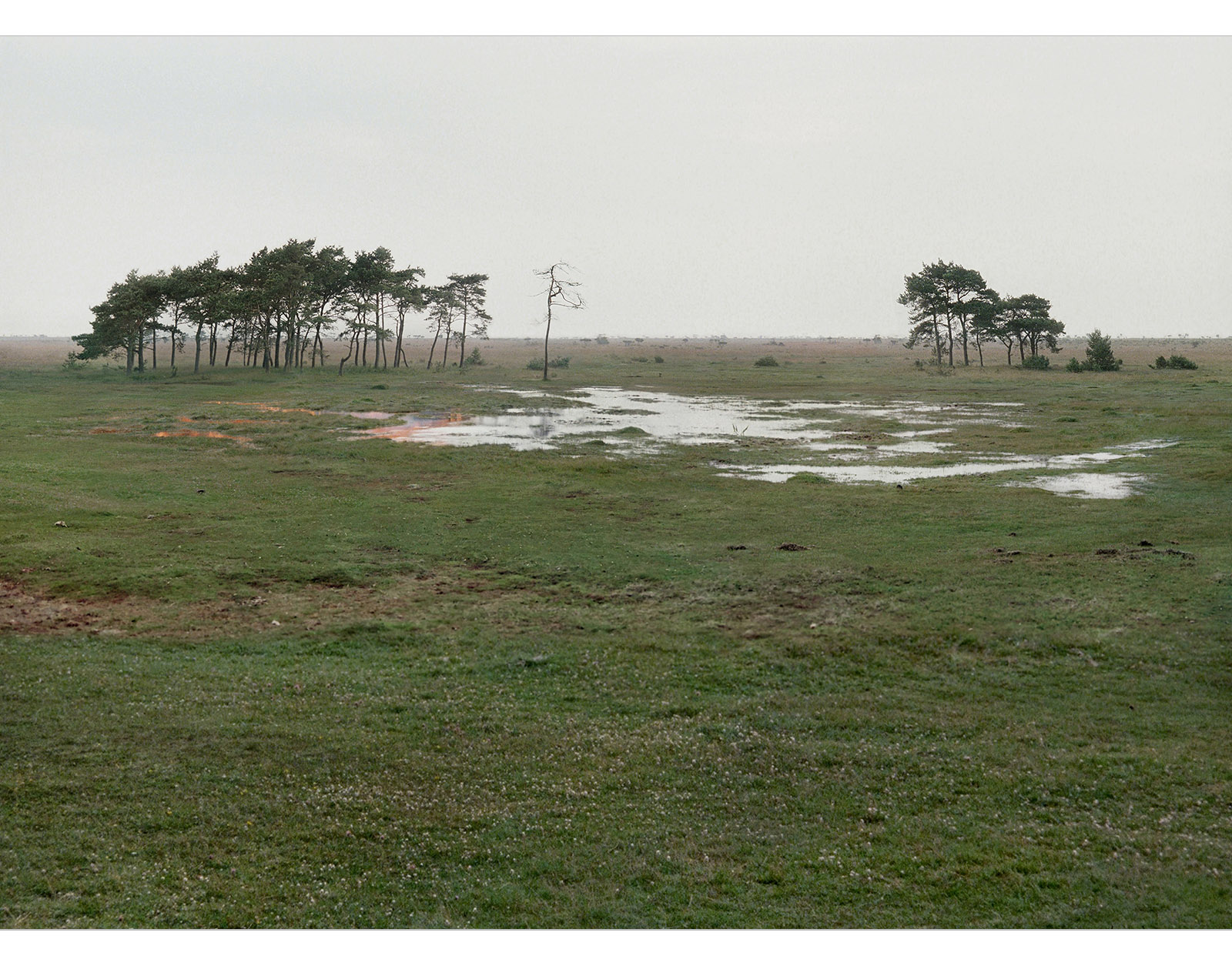 Caption for Image 3