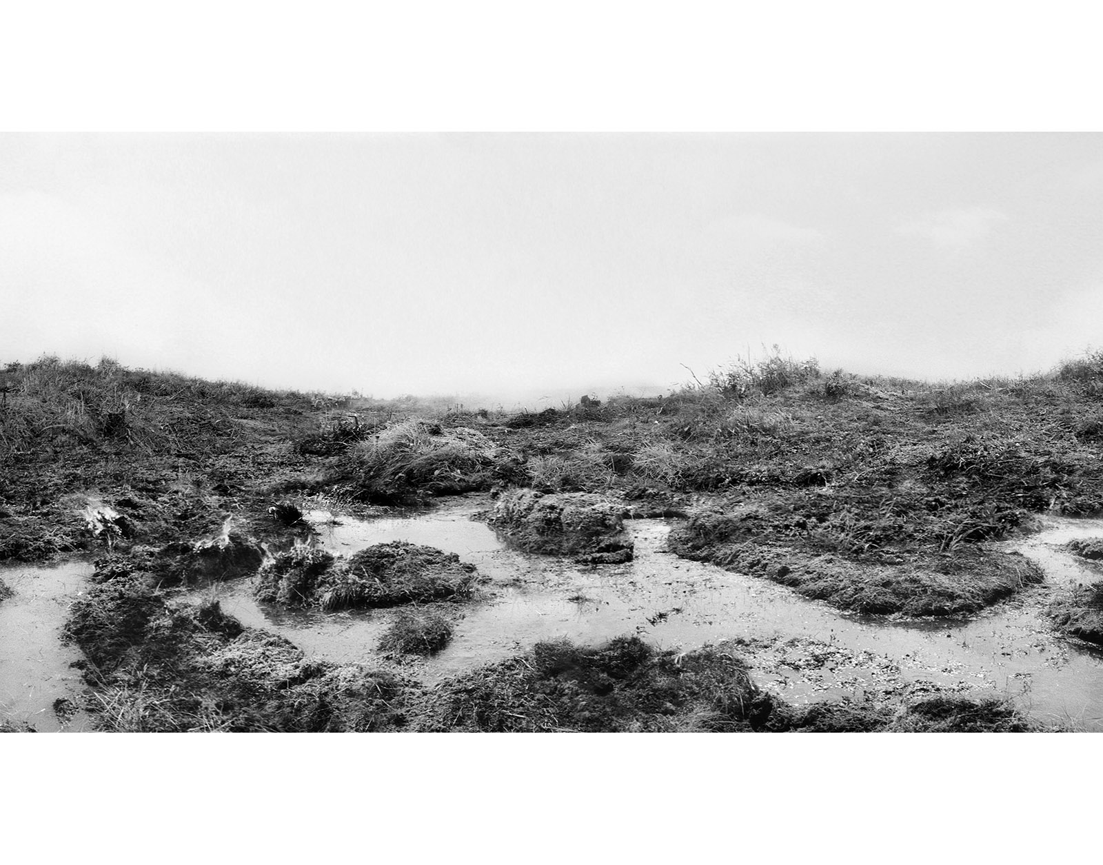 Caption for Image 3