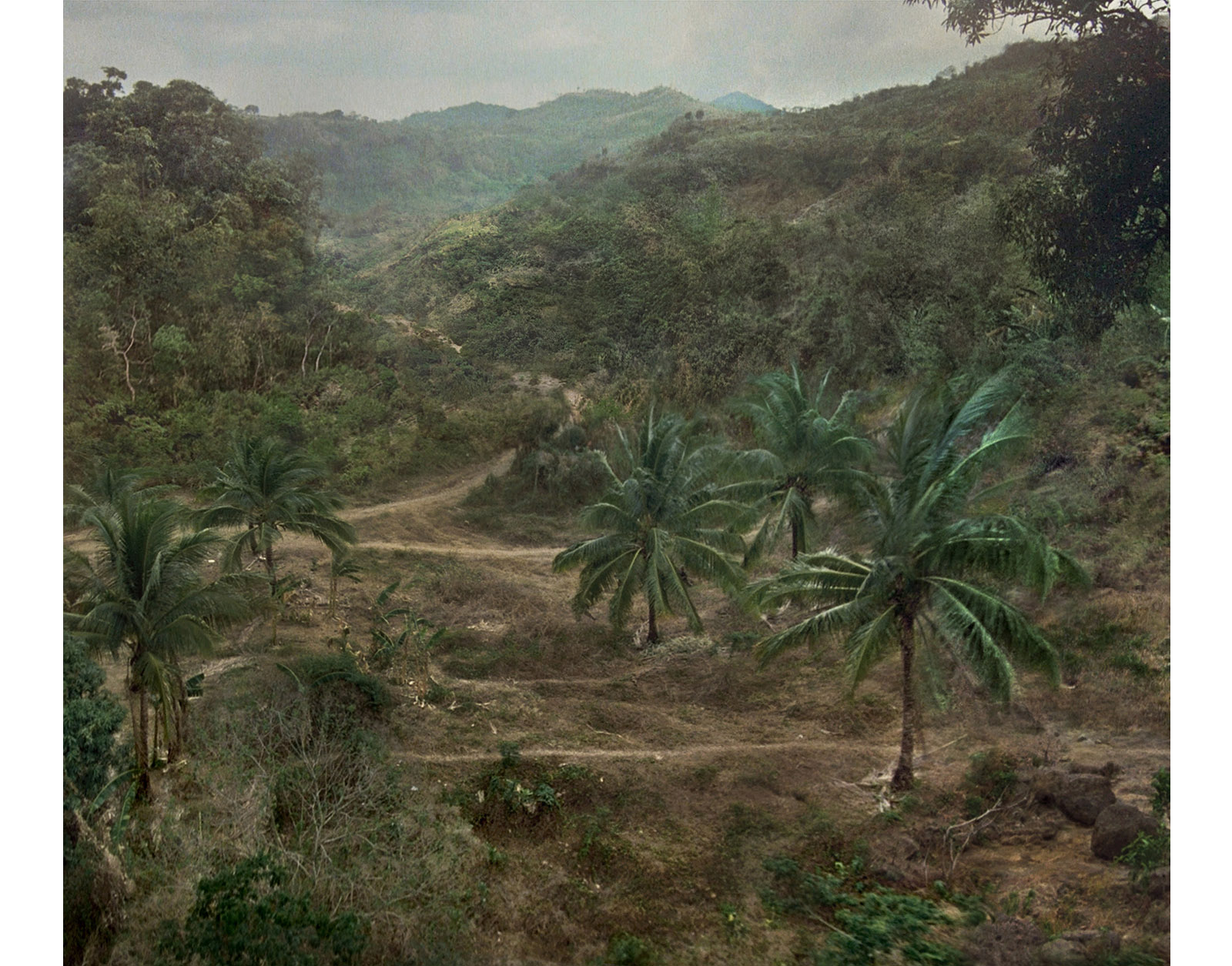 Caption for Image 3