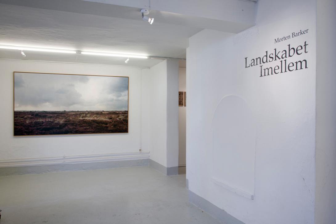 The Landscape In-Between Gallery Image