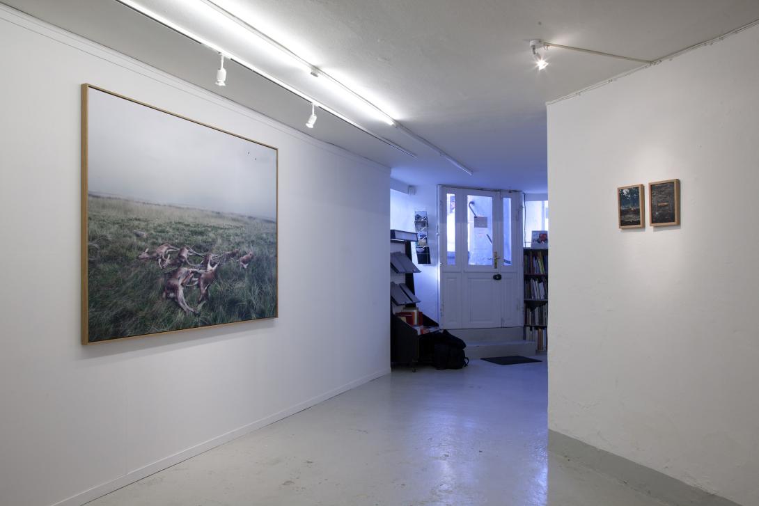 The Landscape In-Between Gallery Image