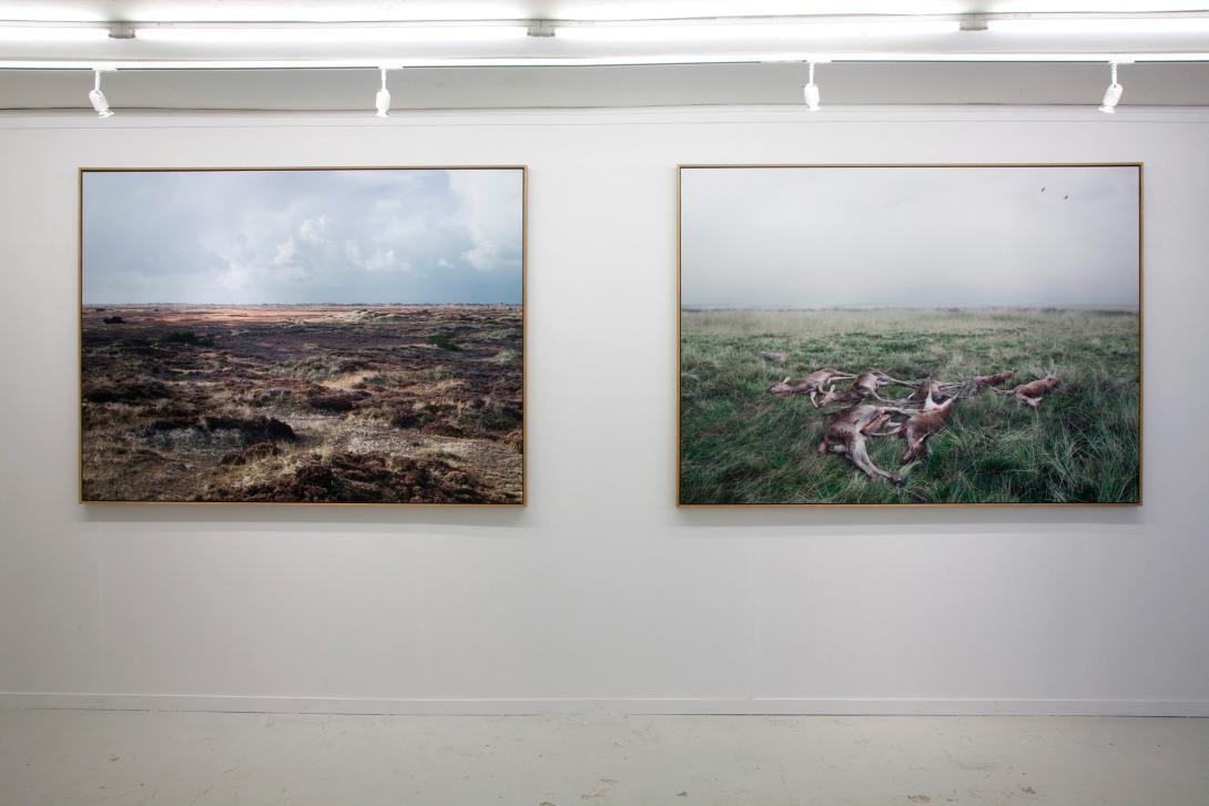 The Landscape In-Between Gallery Image