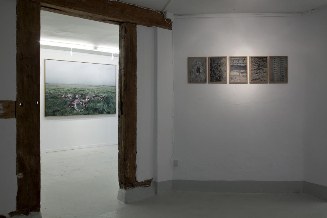 The Landscape In-Between Gallery Image